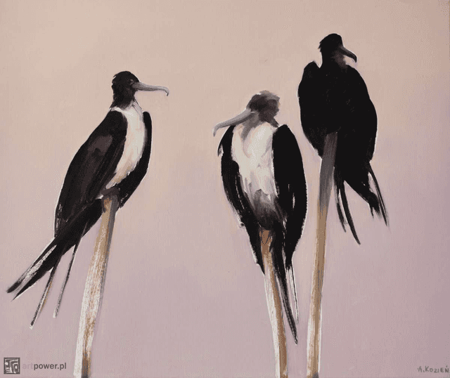 Ptaki 4
