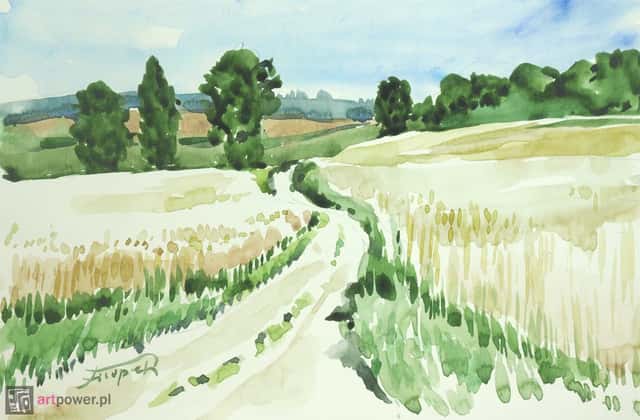 Przez mazowieckie pola