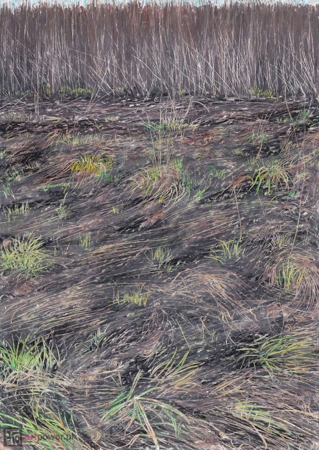 This author last art